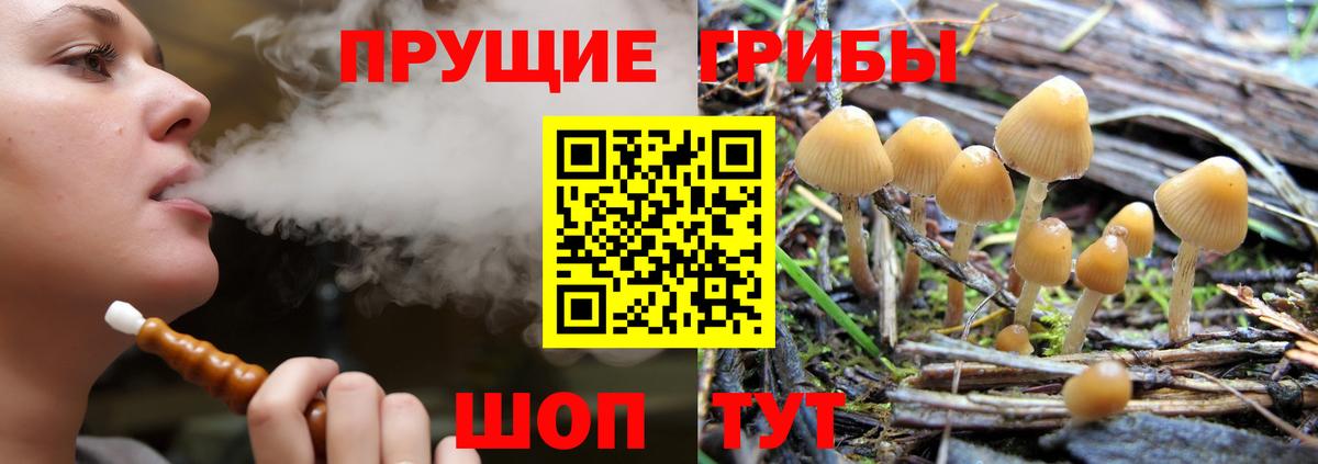 Псилоцибиновые грибы мицелий Лениногорск