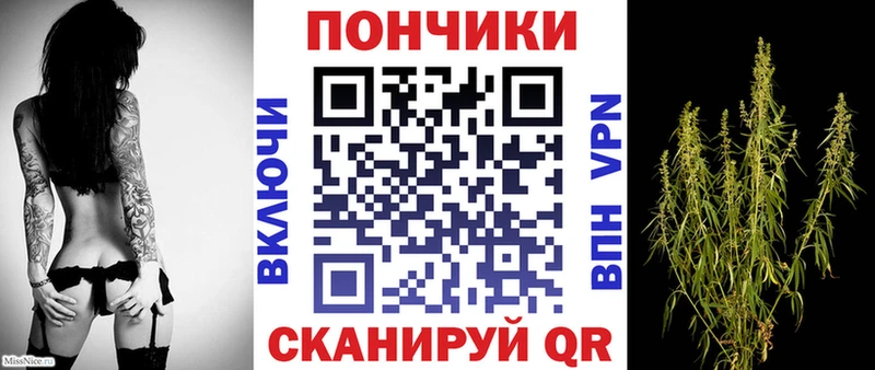 Бошки марихуана Amnesia  Лениногорск 